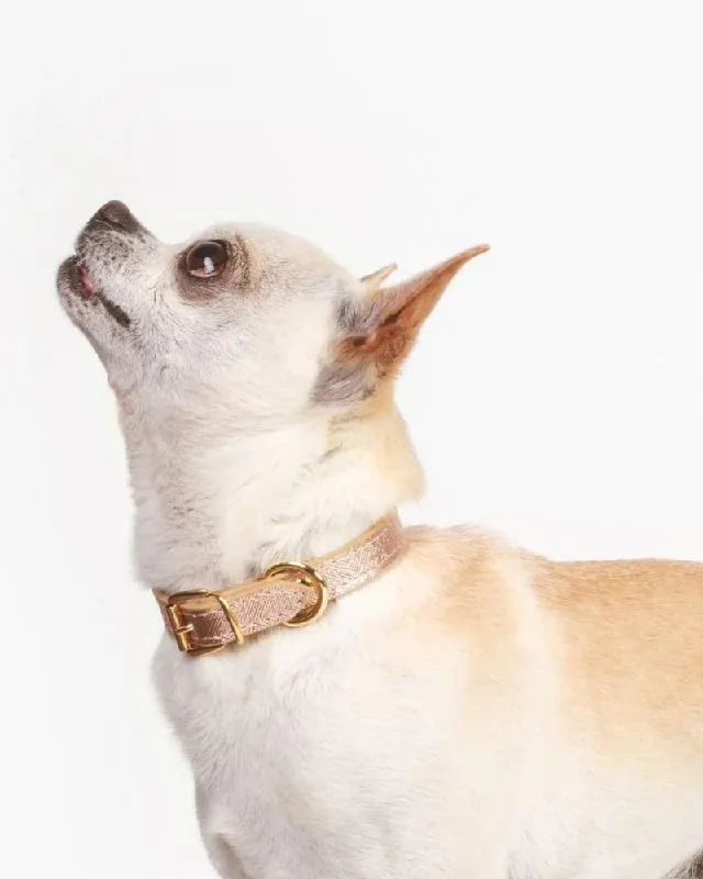 Small Dog Collar in Rose Gold Leather (Made in Italy) (CLEARANCE)