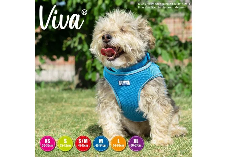 Viva Step-in Harness Blue XS 30-36cm